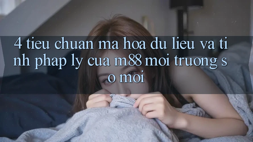 4. Tiêu Chuẩn Mã hóa dữ liệu Và Tính Pháp Lý Của M88 Môi trường số Mới