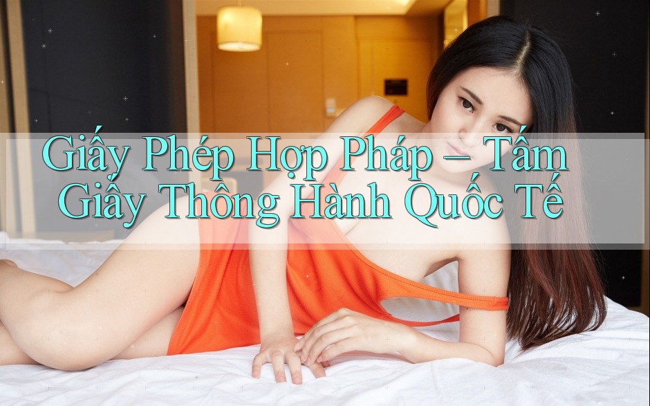 Giấy Phép Hợp Pháp – Tấm Giấy Thông Hành Quốc Tế