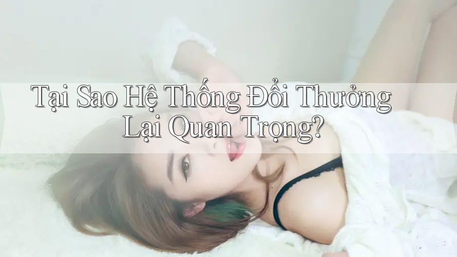 Tại Sao Hệ Thống Đổi Thưởng Lại Quan Trọng?
